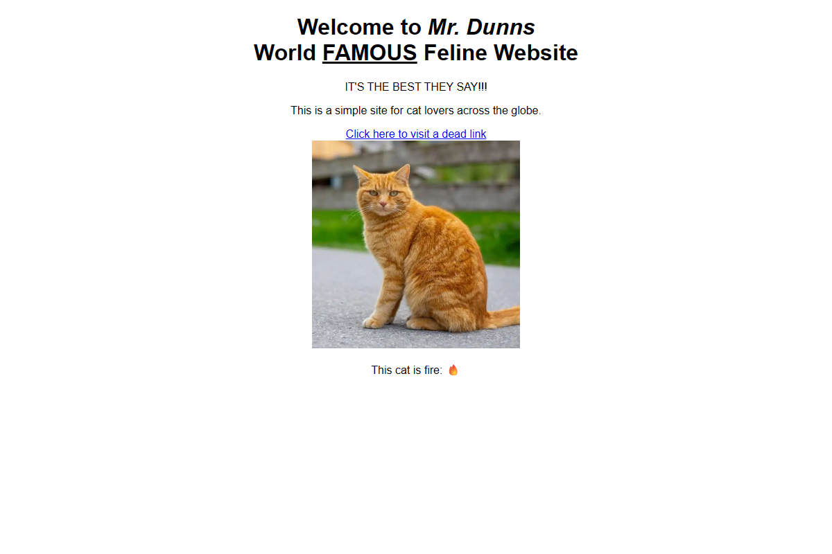 Website Thumbnail